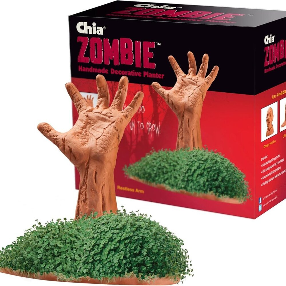 Pet Zombie Pet with Seed Pack, Decorative Pottery Planter, Easy to Do and Fun to